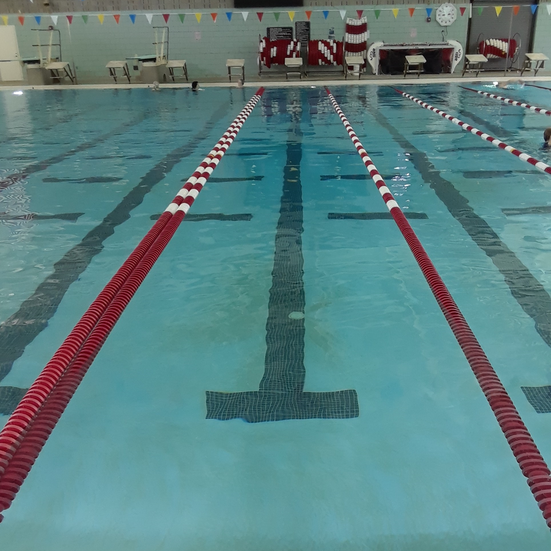 Swimming pool lap lane
